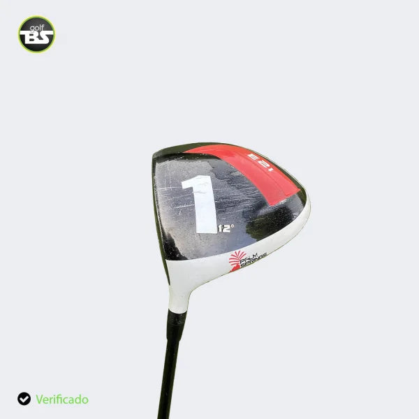 Driver Palm Springe